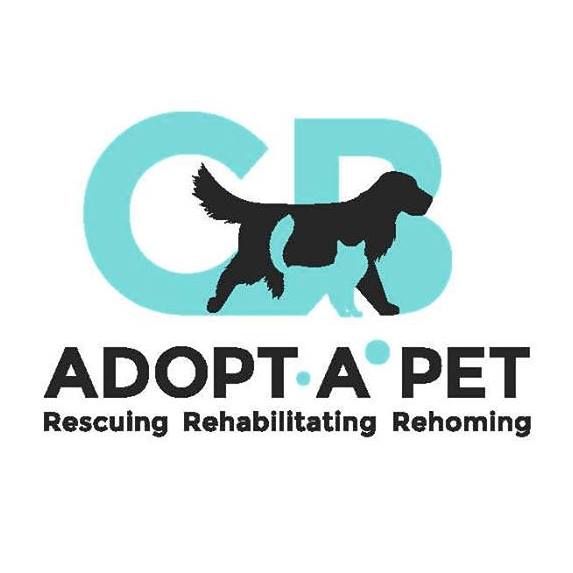 Support Adopt A Pet Cape Town Animal Shelter on Brownie Points
